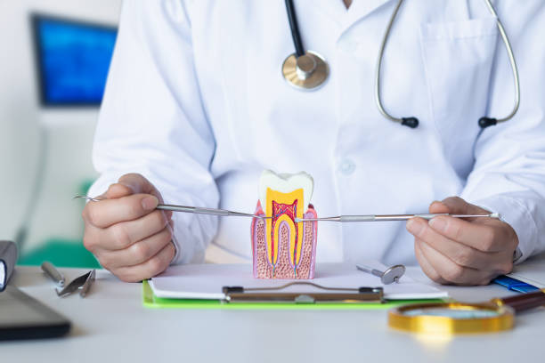 Best Root Canal Emergency Dentist  in Utica, MI
